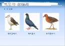 독도 9페이지