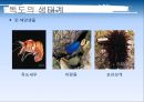 독도 10페이지
