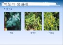독도 11페이지