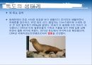독도 12페이지