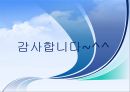 독도 16페이지