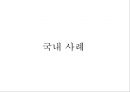나이지리아의 의약품 산업에 진출하기 위한 국제마케팅 전략.pptx 19페이지