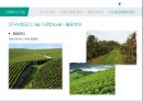 R&D와 신기술.pptx 17페이지