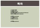 디스플레이의 기초.pptx 2페이지