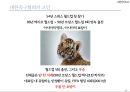 팀 빌딩(Team Building) 사례분석.ppt 12페이지
