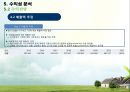 Smart Healthcare 기술가치평가 30페이지