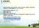Smart Healthcare 기술가치평가 32페이지