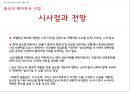 중국 엔터테인먼트 산업 (게임 테마파크 뮤지컬) 34페이지