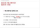 중국 엔터테인먼트 산업 (게임 테마파크 뮤지컬) 39페이지