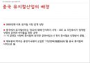 중국 엔터테인먼트 산업 (게임 테마파크 뮤지컬) 49페이지