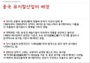 중국 엔터테인먼트 산업 (게임 테마파크 뮤지컬) 50페이지