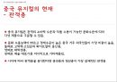 중국 엔터테인먼트 산업 (게임 테마파크 뮤지컬) 51페이지