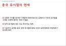 중국 엔터테인먼트 산업 (게임 테마파크 뮤지컬) 52페이지