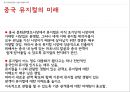 중국 엔터테인먼트 산업 (게임 테마파크 뮤지컬) 61페이지