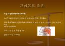 CAGPCIPTCAMISTENT 8페이지