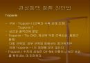 CAGPCIPTCAMISTENT 14페이지