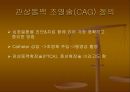 CAGPCIPTCAMISTENT 21페이지