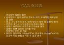 CAGPCIPTCAMISTENT 28페이지