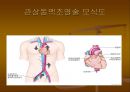 CAGPCIPTCAMISTENT 29페이지