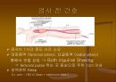 CAGPCIPTCAMISTENT 30페이지