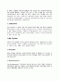 생태체계이론(Ecosystem theory의 주요개념 3페이지