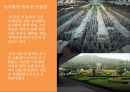 중국문화의 이해,중국 여행지 명소,실크로드,진시황릉 - 중국 여행지 및 명소 .pptx 5페이지