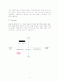 비욘드 BEYOND 성공요인과 마케팅전략 4P STP SWOT 분석및 비욘드 향후 마케팅 아이디어 제시 9페이지
