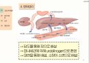 아동간호학 황달자료 9페이지