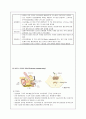 bph 전립선 비대증 11페이지