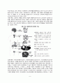 [사춘기의 생물학적 변화] 사춘기의 신체-생리적 발달특징  사춘기 신체발달 및 생리 6페이지