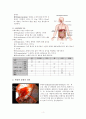 위장관 출혈 케이스 (gastrointestinal bleeding 위장관 출혈 case 위장관 출혈 케이스 위장관 출혈 간호과정 위장관 출혈 사례관리)  4페이지