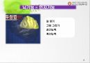 주야간보호 사업의 이해 15페이지