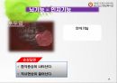 주야간보호 사업의 이해 16페이지