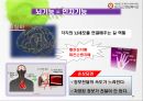 주야간보호 사업의 이해 17페이지