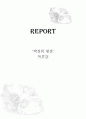 [감상문] 박정희 평전을 읽고 나서 1페이지