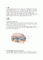 지주막하 출혈(Subarachnoid hemorrhage) 케이스 스터디 3페이지