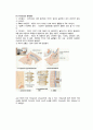 척수손상 케이스 스터디 (SCI Spinal Cord Injury  척추손상 척추손상 케이스 척추손상 case study 척수손상 간호과정) 5페이지