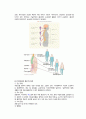 척수손상 케이스 스터디 (SCI Spinal Cord Injury  척추손상 척추손상 케이스 척추손상 case study 척수손상 간호과정) 6페이지