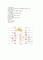 척수손상 케이스 스터디 (SCI Spinal Cord Injury  척추손상 척추손상 케이스 척추손상 case study 척수손상 간호과정) 7페이지