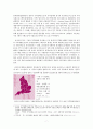 유럽연합의 지역정책과 농업정책 (유럽 지역정책 eu 공동농업정책 CAP 농업정책) 8페이지