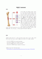 casestudy - 백혈병(leukemia) 정의원인증상진단검사간호진단(3개) 2페이지