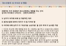 청소년의 성문화 13페이지