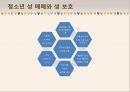 청소년의 성문화 20페이지