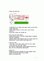 유아동복 쇼핑몰 사업계획서 13페이지