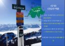 스위스 루체른 SWITZERLANDLUCERNE 15페이지