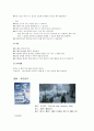 [수업지도안] 도덕 덕목 - 환경 보호 8페이지