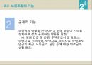 노사관계란노사관계의 양면성노사관계의 발전과정노동조합이란노조가입방법노동조합비노사관계제도 10페이지