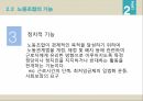 노사관계란노사관계의 양면성노사관계의 발전과정노동조합이란노조가입방법노동조합비노사관계제도 11페이지
