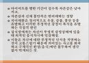 식이 조절 반응식욕부진증신경성 폭식증폭식장애생물학적 모형스트레스신경성 식욕부진증신경성 폭식증 7페이지