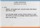 식이 조절 반응식욕부진증신경성 폭식증폭식장애생물학적 모형스트레스신경성 식욕부진증신경성 폭식증 13페이지